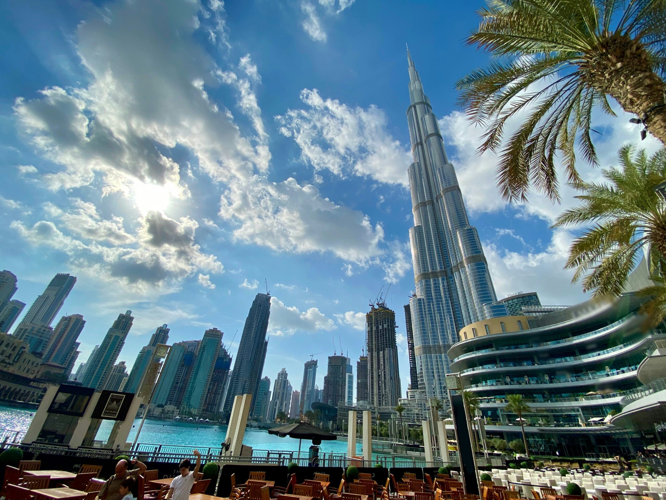 vertical farms UAE
